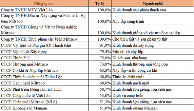 Cổ phiếu tăng hơn 560%, Mitraco hoạt động ra sao? - Ảnh 4.