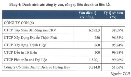 Cổ phiếu TCH đã giảm 75% về 6.800 đồng, chia cổ tức bằng tiền mặt 12%, vợ chồng Chủ tịch Đỗ Hữu Hạ sắp nhận về 354 tỷ cổ tức - Ảnh 3.