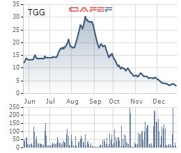 Cổ phiếu TGG lao dốc, chuyên gia kinh tế Lê Xuân Nghĩa “tháo chạy” - Ảnh 1.