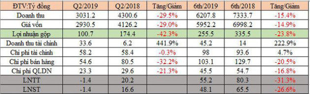 Cổ phiếu về đáy, Thanh Lễ (TLP) bất ngờ báo lỗ quý 2 - Ảnh 1.