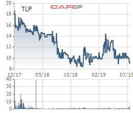 Cổ phiếu về đáy, Thanh Lễ (TLP) bất ngờ báo lỗ quý 2 - Ảnh 2.