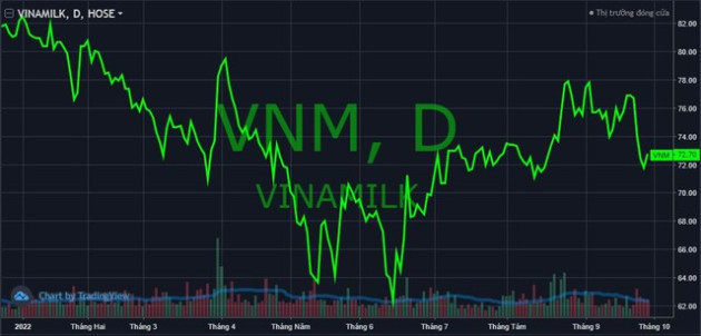 Cổ phiếu Vinamilk (VNM) “nâng đỡ” thị trường trước sóng gió bủa vây - Ảnh 2.