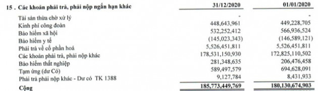 COMA18 (CIG): Năm 2020 lỗ 164 tỷ đồng – cao nhất trong lịch sử niêm yết - Ảnh 3.