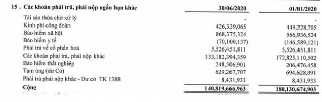 COMA18 (CIG): Quý 2 lỗ lớn 136 tỷ đồng - Ảnh 1.