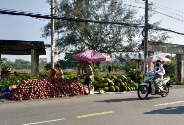  Còn 15.000 đồng/2kg, thanh long lại đổ đống, bán đầy đường TP HCM - Ảnh 2.