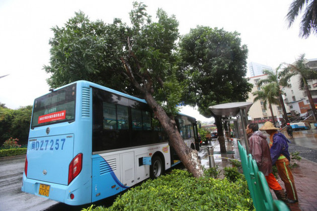  Cơn bão nóng tính tập kích TQ: Xé rách nhà xưởng, bẻ gãy đèn giao thông, quật ngã cảnh sát trực chiến - Ảnh 4.