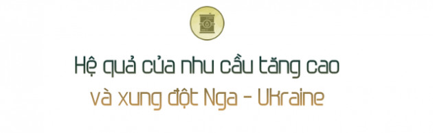 Cơn khát dầu đẩy các quốc gia mới nổi chìm sâu vào vòng xoáy không hồi kết: Khủng hoảng kinh tế, lạm phát và mất niềm tin - Ảnh 1.