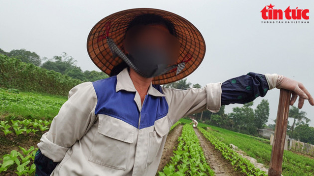 Cơn sốt đất tại Đông Anh, Hà Nội: Hỏa mù thông tin - Ảnh 1.