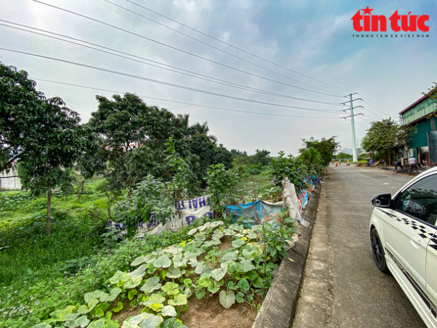  Cơn sốt đất tại Đông Anh, Hà Nội: Hỏa mù thông tin - Ảnh 8.