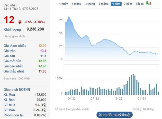 Con trai Chủ tịch HĐQT DIC Corp đăng ký mua 5 triệu cổ phiếu DIG - Ảnh 1.