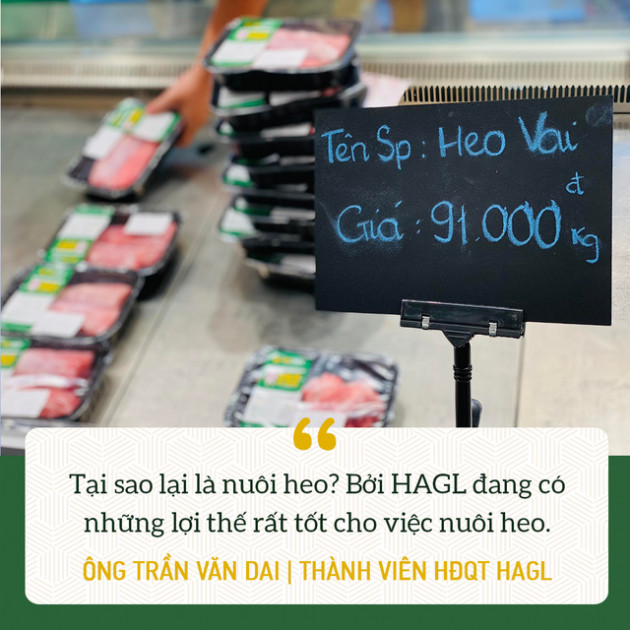 Công thần hiện thực hoá ý tưởng Heo ăn chuối Bapi HAGL của bầu Đức: Sẽ có thêm Gà đi bộ ăn chuối - Ảnh 1.