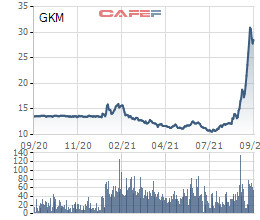 Công ty chứng khoán họ Louis gia tăng sở hữu tại Khang Minh Group (GKM) lên gần 18% - Ảnh 1.