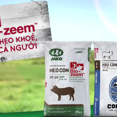 Công ty con ANCO của Masan MeatLife lỗ 468 tỷ dồng năm 2019