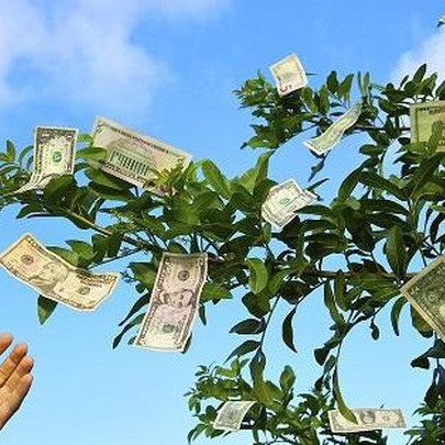 Công ty con của IDICO nâng mục tiêu lợi nhuận năm 2022 lên gấp 6 lần, chia cổ tức 250%, chuẩn bị chốt danh sách cổ đông nhận 6.000/cp