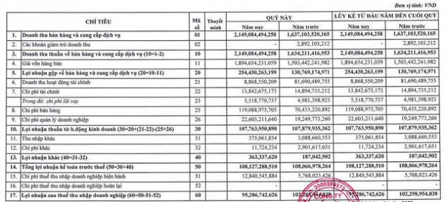 Công ty mẹ MPC: Hụt nguồn cổ tức, quý 1 lãi giảm 7% so với cùng kỳ 2021 - Ảnh 1.