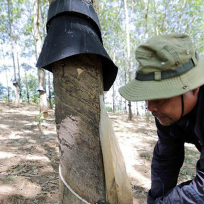 Công ty mẹ PHR: Ghi nhận tiền đền bù KCN VSIP 3, báo lãi quý 1/2022 cao gấp 11 lần cùng kỳ