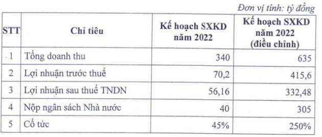 Công ty thành viên của IDICO chuẩn bị tạm ứng cổ tức 45% - Ảnh 1.