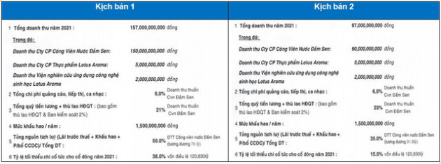 Công viên nước Đầm Sen (DSN): Năm 2020 lãi 41 tỷ đồng – thấp nhất trong vòng 10 năm qua - Ảnh 2.