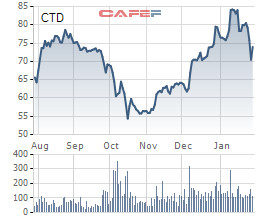 Coteccons (CTD): Thêm 1 quý chi phí tăng đột biến, cả năm LNTT suýt soát kế hoạch với 589 tỷ đồng - Ảnh 2.