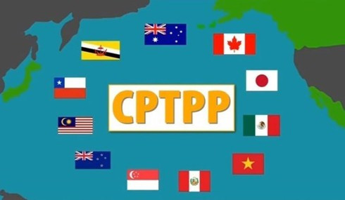 CPTPP: Từ góc nhìn an ninh-quốc phòng - Ảnh 1.