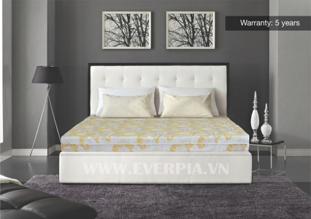 CTCP Everpia (EVE) trích lợi nhuận ủng hộ Quỹ vaccine, chung tay phòng chống dịch Covid-19 - Ảnh 1.