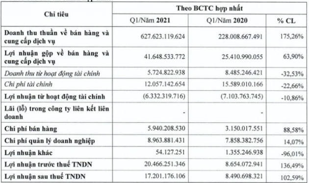 CTIN đặt kế hoạch tăng 20% doanh thu năm 2021, lợi nhuận quý 1 đạt hơn 17 tỷ đồng gấp đôi cùng kỳ 2020 - Ảnh 1.