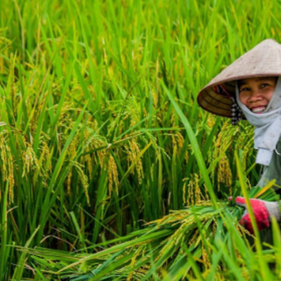 'Cửa sáng' cổ phiếu ngành nông nghiệp