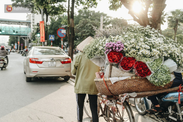 Cúc hoạ mi vào vụ mùa, nông dân Hà Nội hớn hở chào mừng khách đến mua hoa và chụp ảnh - Ảnh 17.