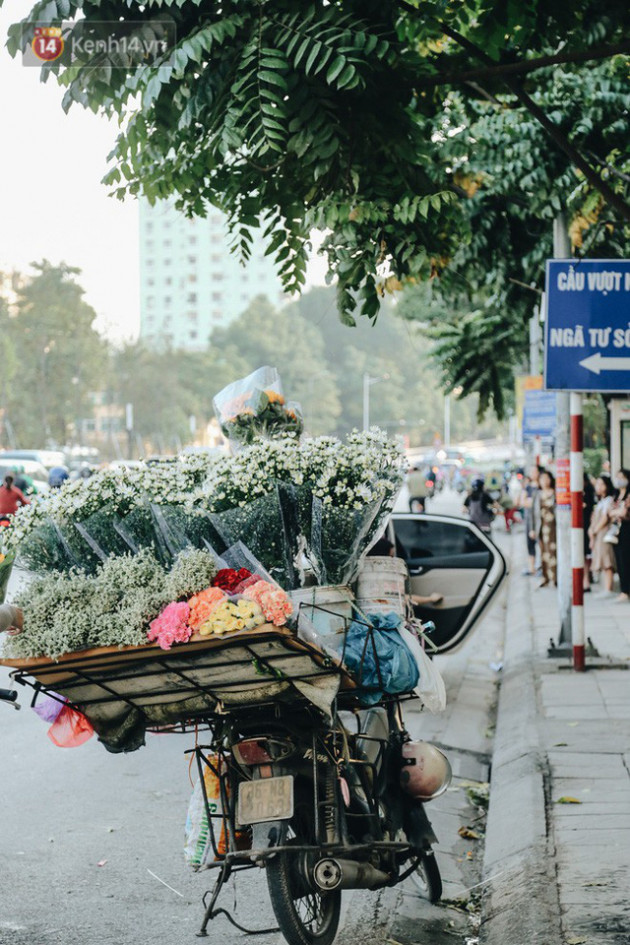 Cúc hoạ mi vào vụ mùa, nông dân Hà Nội hớn hở chào mừng khách đến mua hoa và chụp ảnh - Ảnh 18.