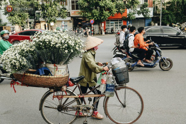 Cúc hoạ mi vào vụ mùa, nông dân Hà Nội hớn hở chào mừng khách đến mua hoa và chụp ảnh - Ảnh 20.