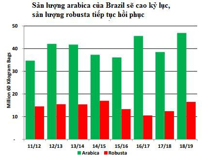 Cung cà phê thế giới sẽ vượt cầu tới 10,9 triệu bao trong niên vụ 2018/19 - Ảnh 2.