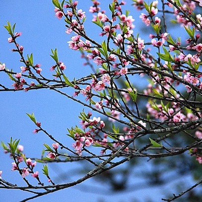 Cùng một ngành nhưng hai số phận: Nhân viên một công ty chứng khoán được thưởng tết 20 tháng lương, có công ty thưởng 0 đồng