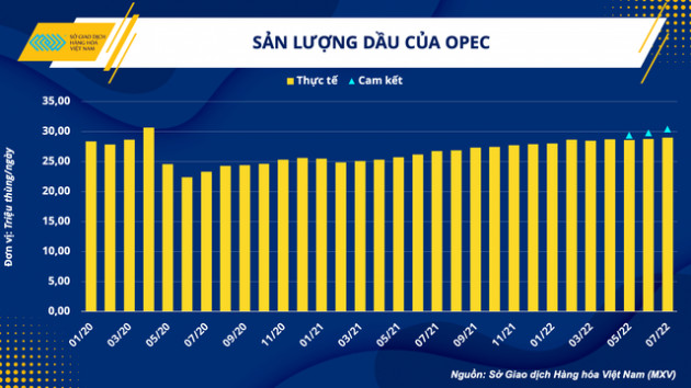 Cuộc họp mới nhất hé lộ điều gì về năng lực sản xuất hiện tại của OPEC ? - Ảnh 2.