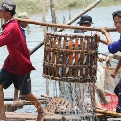 "Cựu vương" cá tra lãi gấp hơn 5 lần năm 2021 nhưng vẫn không thể hoàn thành mục tiêu lợi nhuận nghìn tỷ như cam kết của Tổng giám đốc