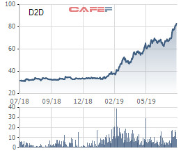 D2D đạt 83 tỷ đồng lãi ròng nửa đầu năm, đã suýt soát chỉ tiêu 2019 - Ảnh 1.