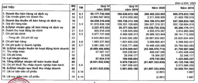 Đại dịch Covid 19 khiến Suất ăn Hàng không Nội Bài (NCS) lỗ 52 tỷ đồng trong năm 2020 - Ảnh 2.