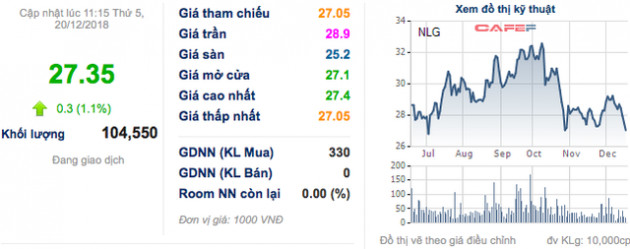 Đại diện Nam Long (NLG): Thị trường bất động sản chững lại không giống khủng hoảng thừa cung Thái Lan - Ảnh 2.