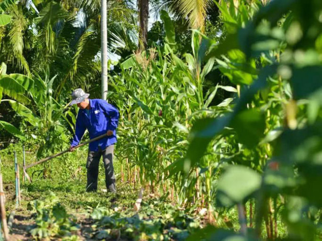 Đại gia lao tâm khổ tứ vì chôn hàng chục tỉ đồng vào farmstay, mua đất 6 triệu đồng/m2 lúc sốt, rao bán mãi không ai mua, phải bán cho chủ cũ 3 triệu đồng/m2 - Ảnh 1.