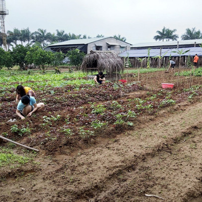 Đại gia lao tâm khổ tứ vì chôn hàng chục tỉ đồng vào farmstay, mua đất 6 triệu đồng/m2 lúc sốt, rao bán mãi không ai mua, phải bán cho chủ cũ 3 triệu đồng/m2