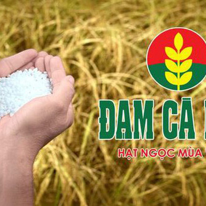 Đạm Cà Mau (DCM): 9 tháng đạt hơn 590 tỷ lợi nhuận, thực hiện 87% chỉ tiêu