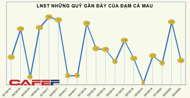 Đạm Cà Mau (DCM) đặt kế hoạch lãi sau thuế 197 tỷ đồng trong năm 2021 - Ảnh 3.