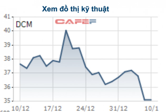 Đạm Cà Mau (DCM) giảm sàn bất chấp công bố lãi kỷ lục - Ảnh 1.