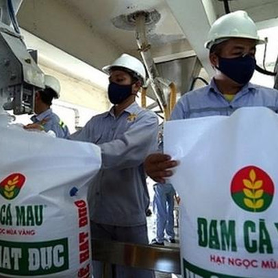 Đạm Cà Mau (DCM): Lãi 9 tháng gấp 4 lần cùng kỳ lên 3.272 tỷ nhưng lợi nhuận quý 3 sụt giảm sâu so với các quý đầu năm