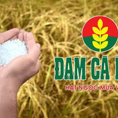 Đạm Cà Mau (DCM): Lợi nhuận quý 3 giảm 94%, cổ phiếu lao dốc mạnh