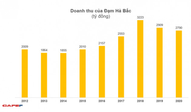 Đạm Hà Bắc (DHB): Năm 2020 báo lỗ 1.462 tỷ đồng - Ảnh 1.