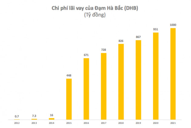 Đạm Hà Bắc (DHB): Quý 4 lãi 298 tỷ đồng – cao nhất sau nhiều quý chìm trong thua lỗ - Ảnh 2.