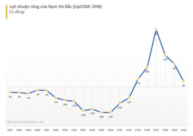 Đạm Hà Bắc lãi kỷ lục gần 1.800 tỷ đồng trong năm 2022 - Ảnh 1.