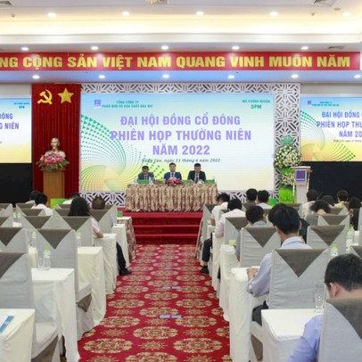 Đạm Phú Mỹ (DPM): Không đầu tư vào bất động sản, cổ đông quan tâm khoản đầu tư hàng trăm tỷ chưa thể thu hồi tại Oceanbank, PVFI