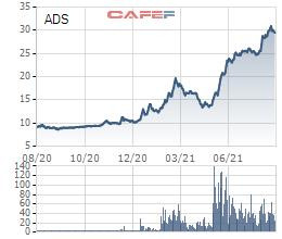 Damsan (ADS) chuẩn bị chào bán 10 triệu cổ phiếu với giá bằng 1/3 thị giá - Ảnh 1.