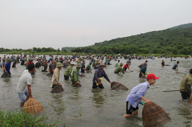 Dân Hà Tĩnh hò vang trời ào xuống đầm bắt cá cầu may - Ảnh 4.